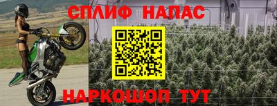 прущая мука Гатчина