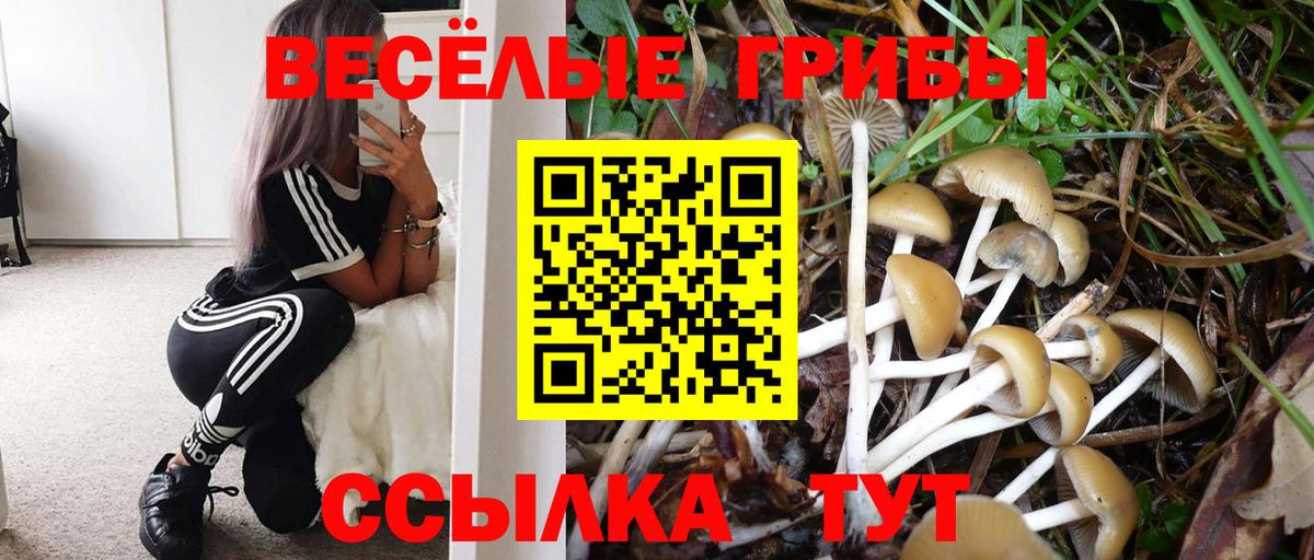 Галлюциногенные грибы Psilocybe  как найти   Бирск  Вход с VPN  Псилоцибиновые грибы Psilocybine cubensis 