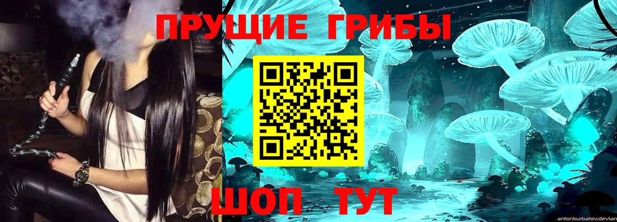 Галлюциногенные грибы мицелий Бирск