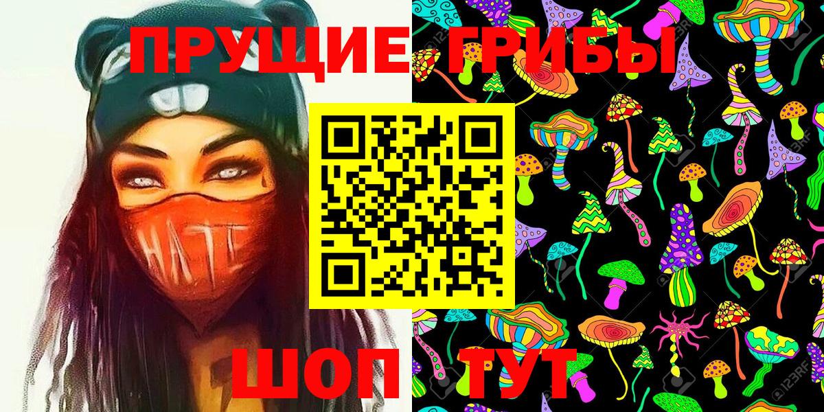 Галлюциногенные грибы Psilocybine cubensis Бирск